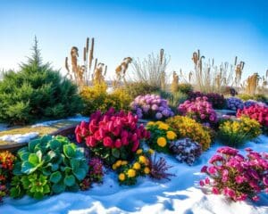 Hoe een kleurrijke tuin in de winter behouden?