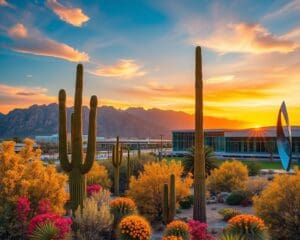 Phoenix: woestijnlandschappen en moderne flair