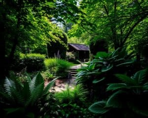 Schaduwrijke tuin? Deze planten houden ervan!