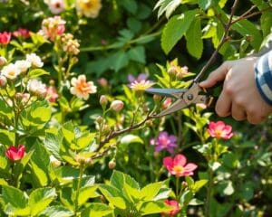 Snoeien in de lente: zo doe je het goed