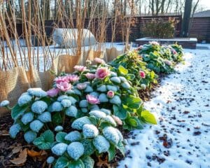 Wintervoorbereiding voor gevoelige tuinplanten