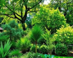 Bomen die weinig onderhoud nodig hebben