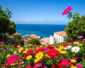 Funchal: Madeira’s hoofdstad vol bloemenpracht