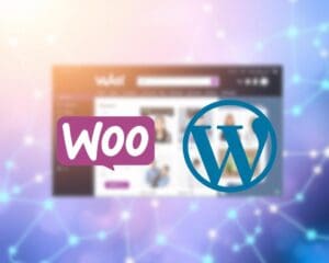 Hoe werkt WooCommerce met WordPress?