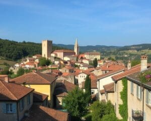 Motovun – Truffels en torens in Istrië 🇭🇷