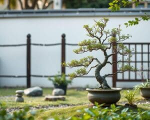 Hoe maak ik een tuin bonsai?