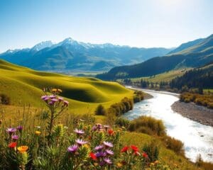 Wat zijn de mooiste natuurgebieden van Nieuw-Zeeland?