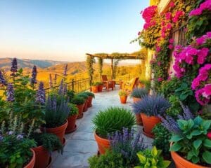 mediterrane tuin